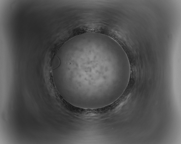 X0000090430913200707131158