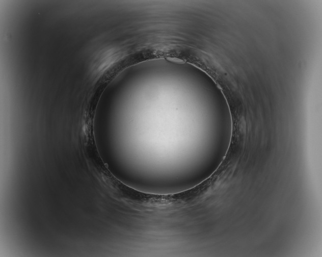 X0000090430914200707131158
