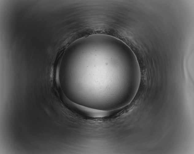 X0000090430916200707131158