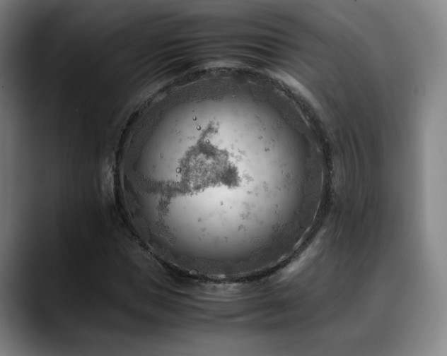 X0000090430921200707131158