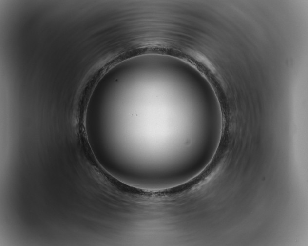 X0000090430922200707131158