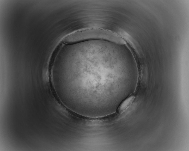 X0000090430924200707131158