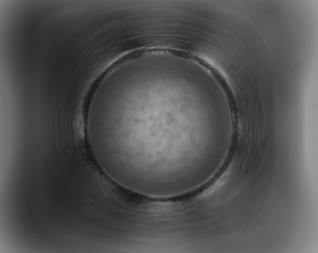X0000090430925200707131158