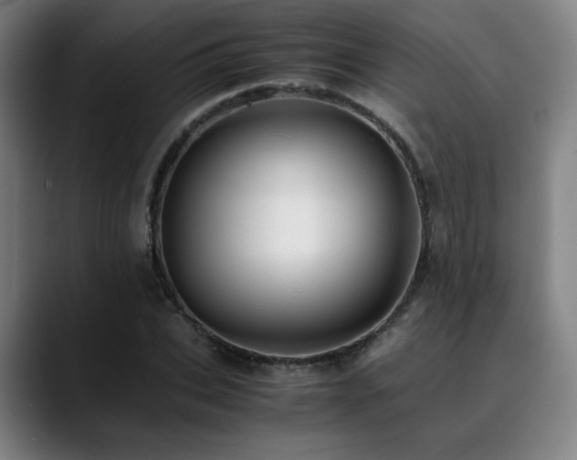 X0000090430927200707131158