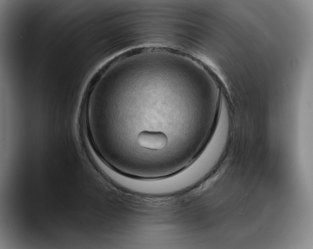 X0000090430928200707131158