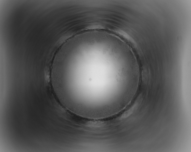 X0000090430929200707131158