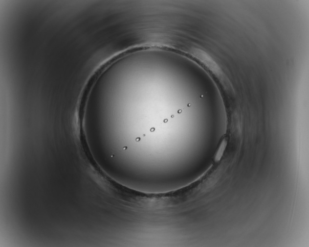 X0000090430936200707131158