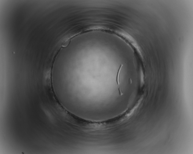 X0000090430937200707131159