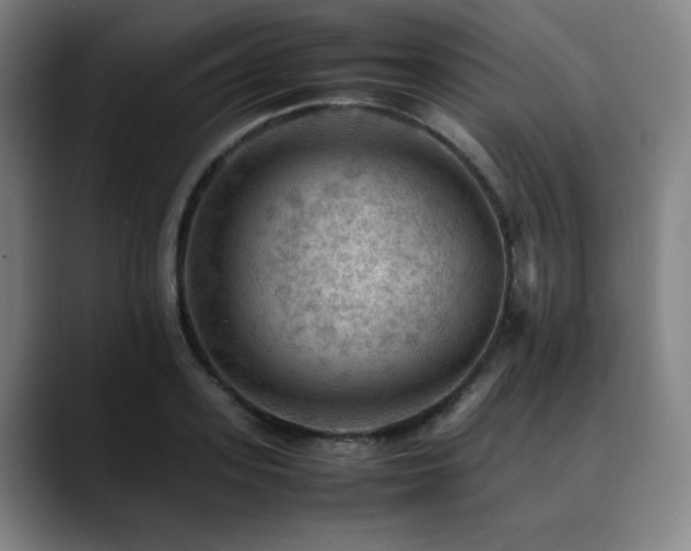 X0000090430939200707131159