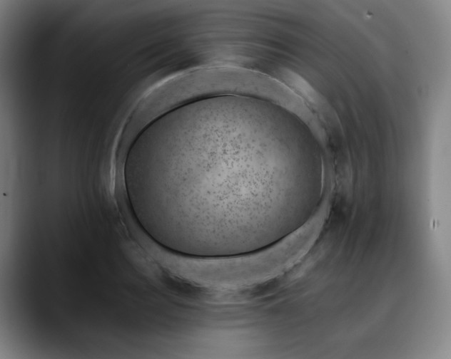 X0000090430940200707131159