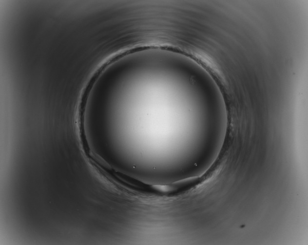 X0000090430942200707131159