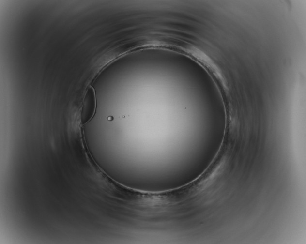 X0000090430945200707131159