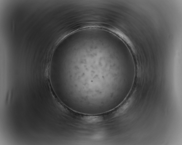 X0000090430953200707131159
