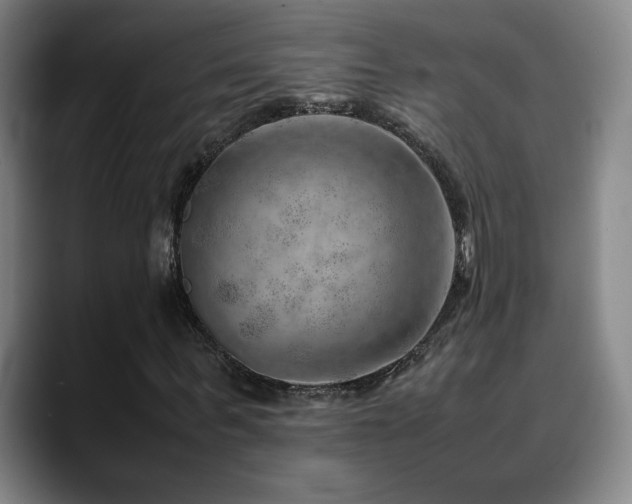 X0000090430963200707131158