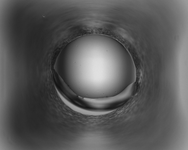 X0000090430965200707131158