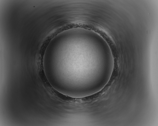 X0000090430968200707131158