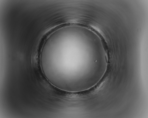 X0000090430971200707131158
