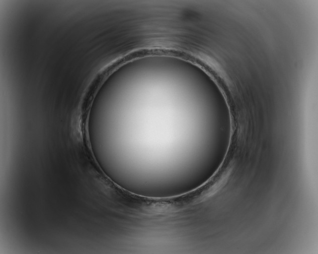 X0000090430974200707131158