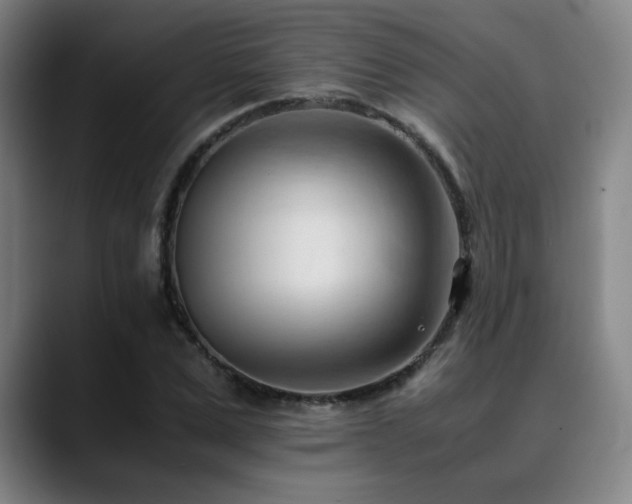 X0000090430975200707131158