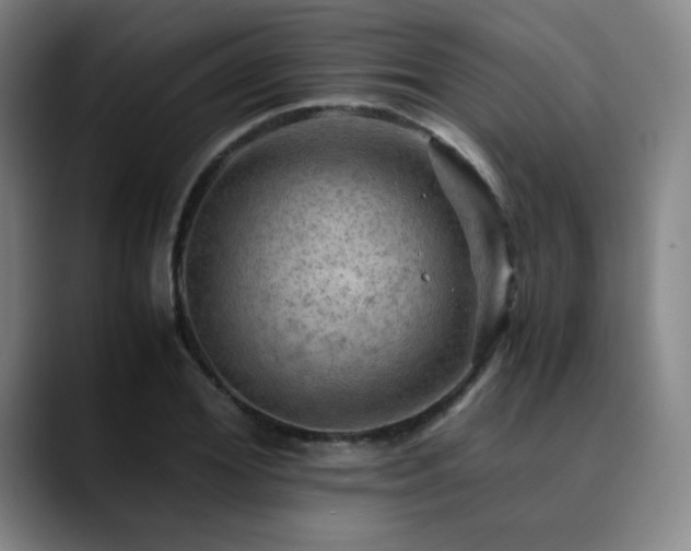 X0000090430980200707131158