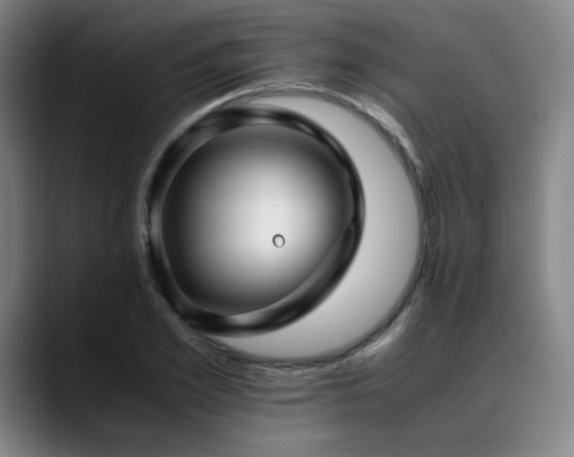 X0000090430981200707131158