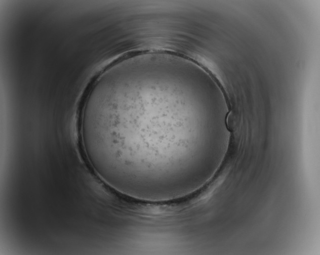X0000090430987200707131158