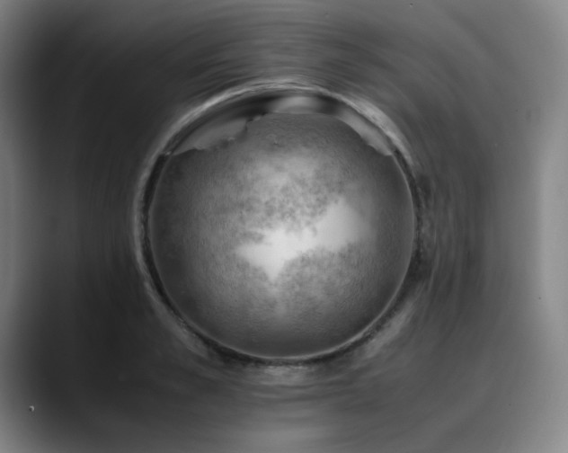 X0000090430989200707131158