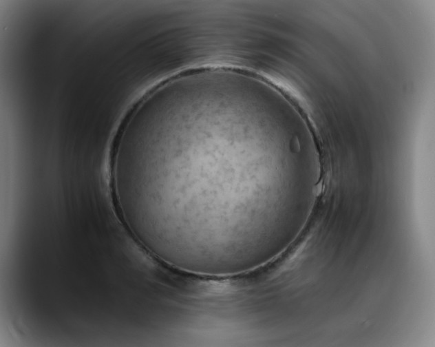 X0000090430990200707131158