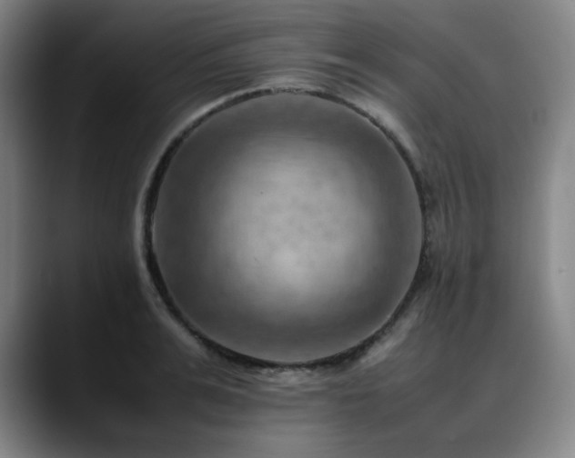 X0000090430991200707131158