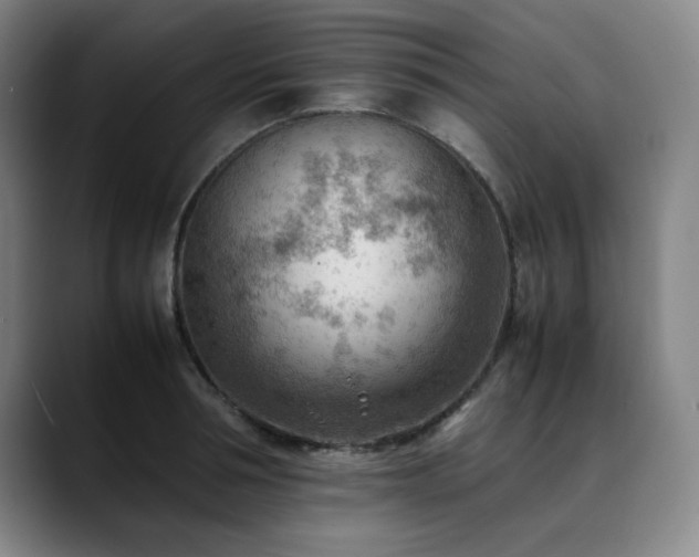 X0000090430994200707131158