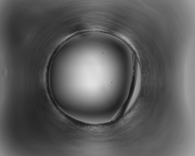 X0000090430995200707131158