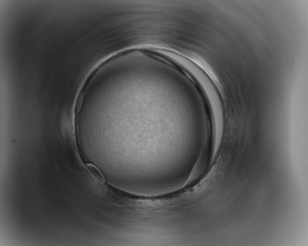 X0000090430996200707131158