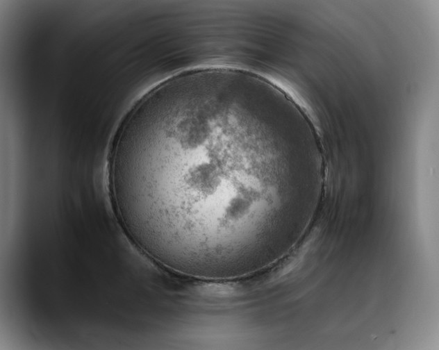 X0000090430998200707131158