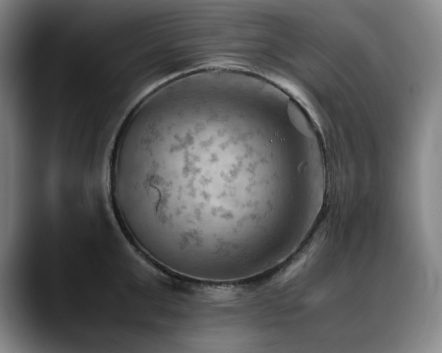 X0000090430999200707131158