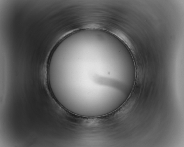 X0000090431000200707131158