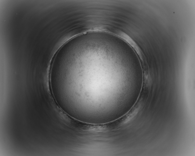 X0000090431002200707131158