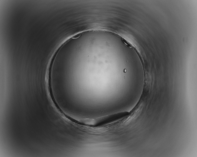 X0000090431007200707131158