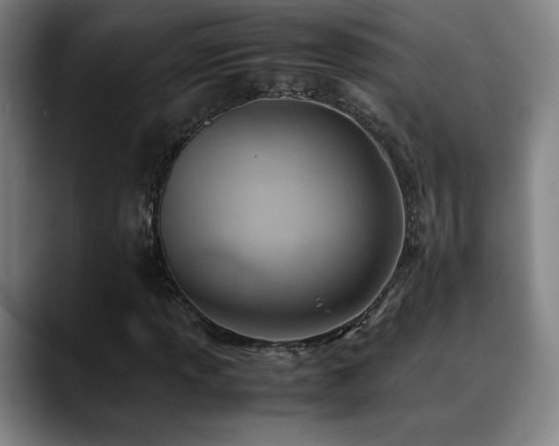 X0000090431013200707131157