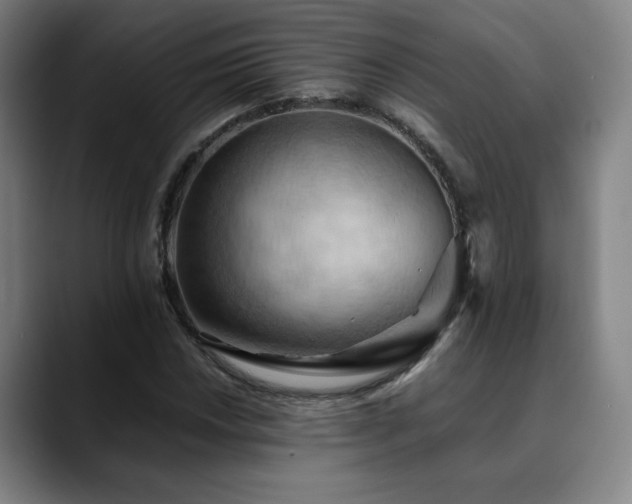 X0000090431018200707131157