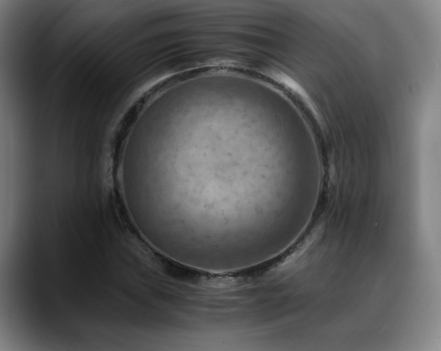 X0000090431019200707131157