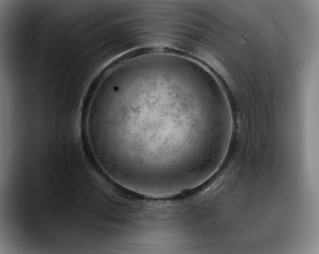 X0000090431020200707131157