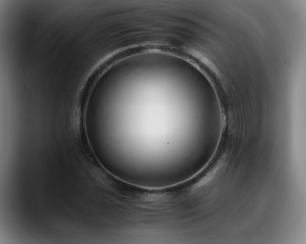 X0000090431021200707131157
