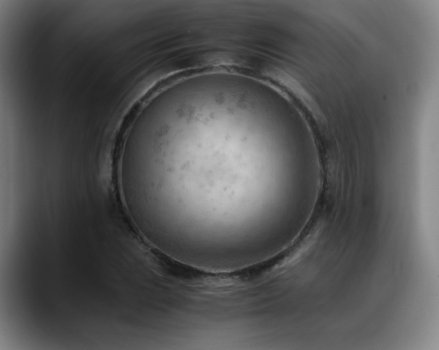 X0000090431023200707131157