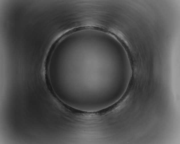 X0000090431024200707131157