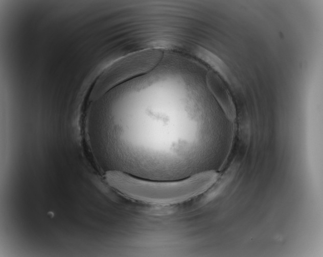 X0000090431026200707131157