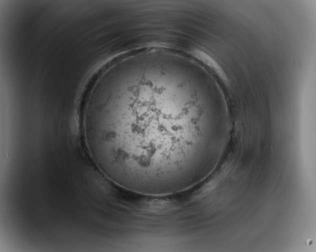 X0000090431027200707131157