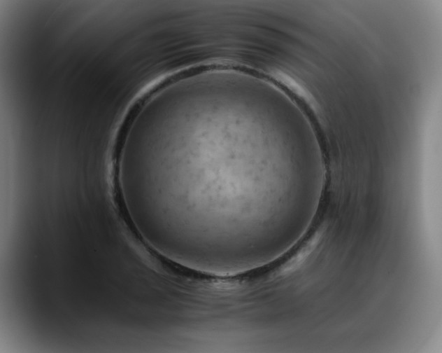 X0000090431029200707131157