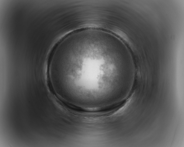X0000090431030200707131157