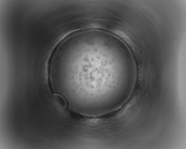 X0000090431031200707131157