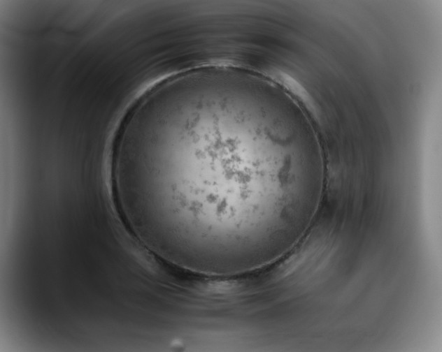 X0000090431035200707131157
